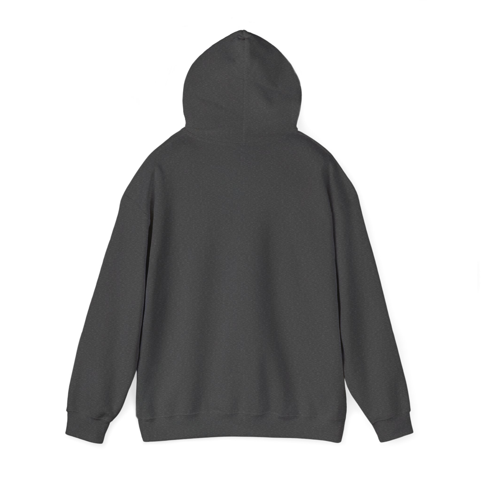 Gamer Dad Hoodie — Couch Co-Op Edition