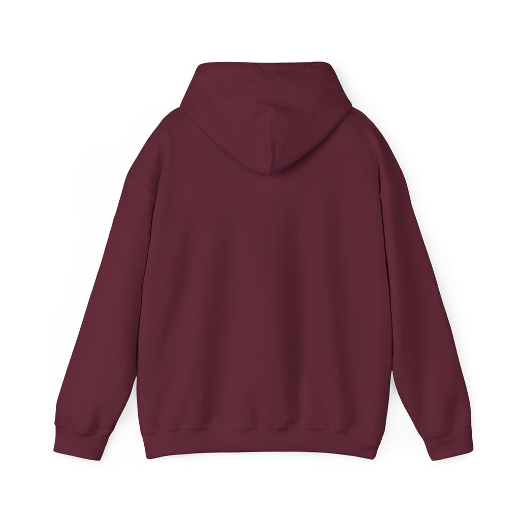 Gamer Dad Hoodie — Couch Co-Op Edition