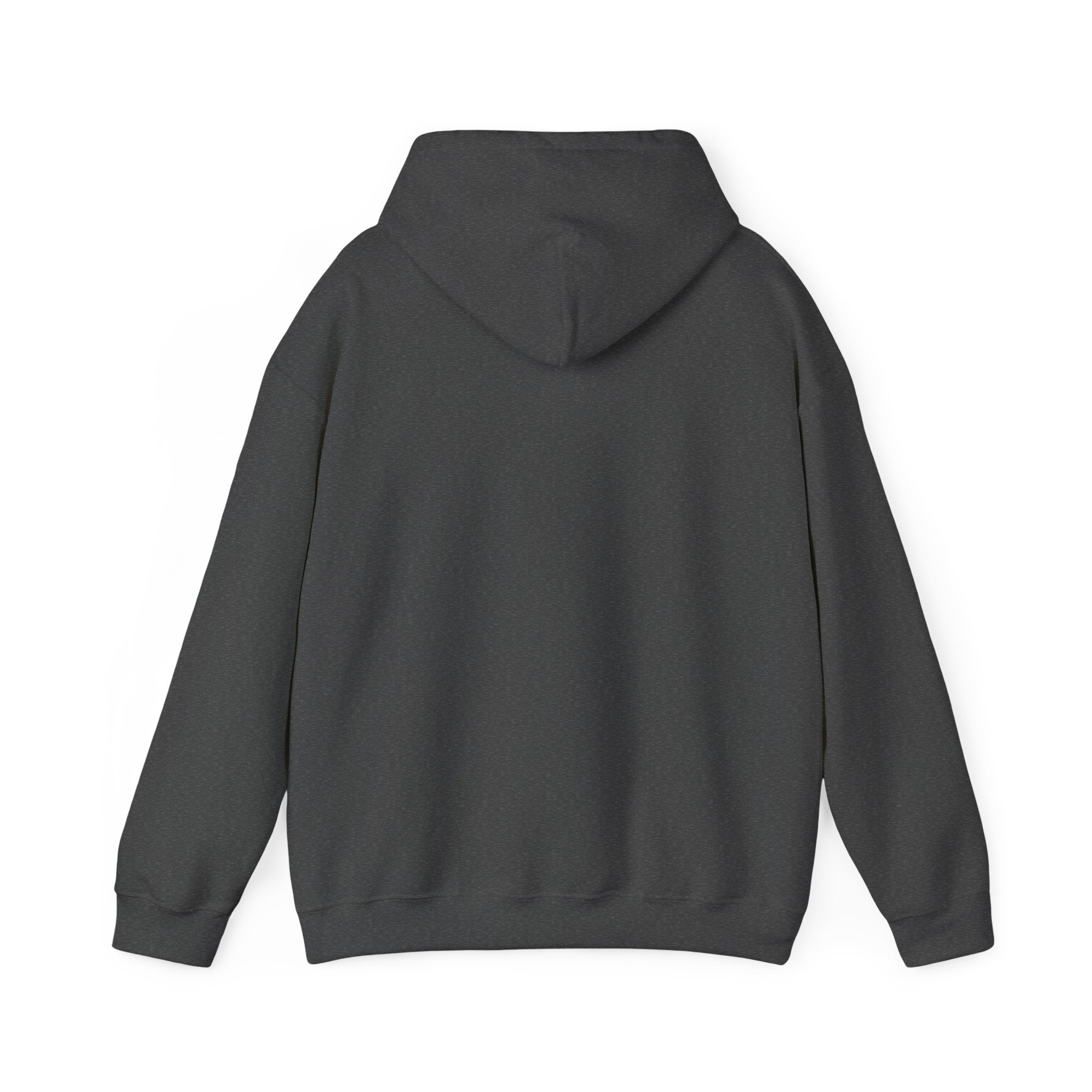 Gamer Dad Hoodie — Couch Co-Op Edition